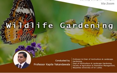 “Wildlife Gardening” by FAPM Nature Team