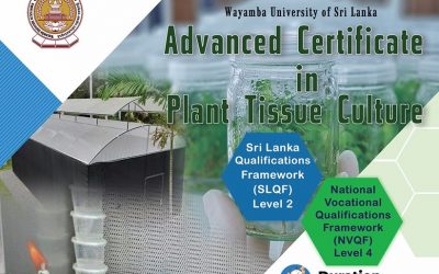 Advanced Certificate in Plant Tissue Culture – ACPTC