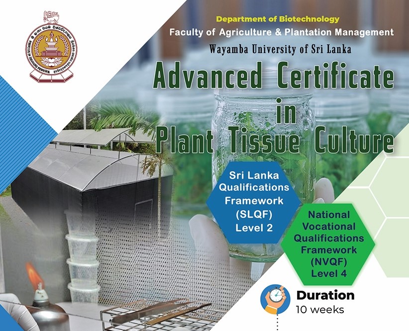 Advanced Certificate in Plant Tissue Culture – ACPTC