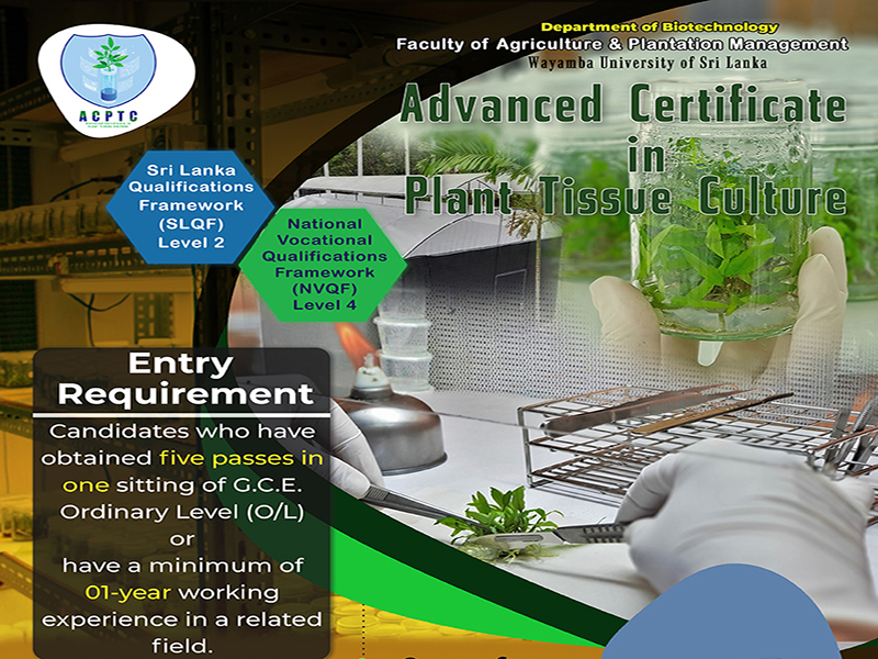 Advanced Certificate in Plant Tissue Culture – 2nd Intake