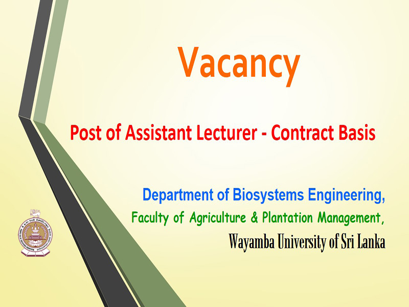 Vacancy – Post of Assistant Lecturer – Contract Basis