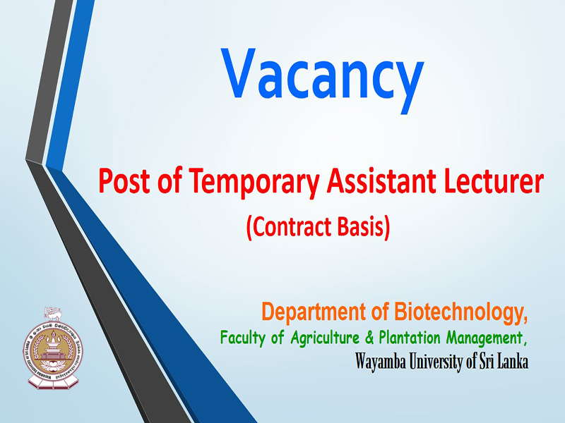 Vacancy – Post of Temporary Assistant Lecturer (Contract Basis)