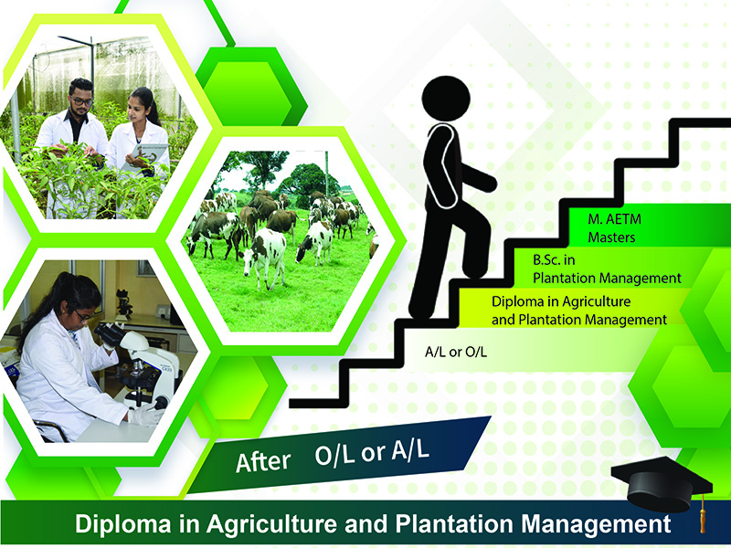 Diploma in Agriculture and Plantation Management – DAPM