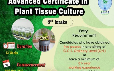 Advanced Certificate in Plant Tissue Culture – Third Intake