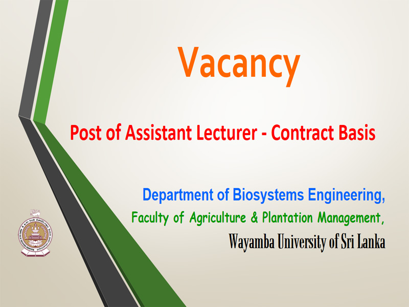 Vacancy – Post of Assistant Lecturer (Temporary) – Contract Basis