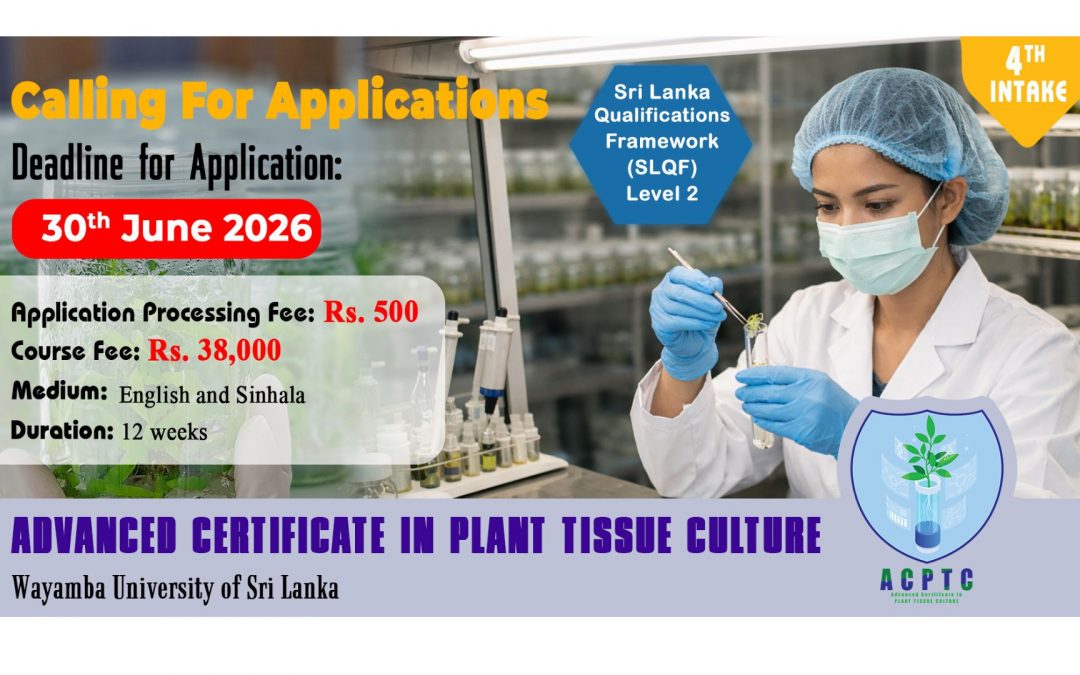 Advanced Certificate Course in Plant Tissue Culture – Application Deadline Extended