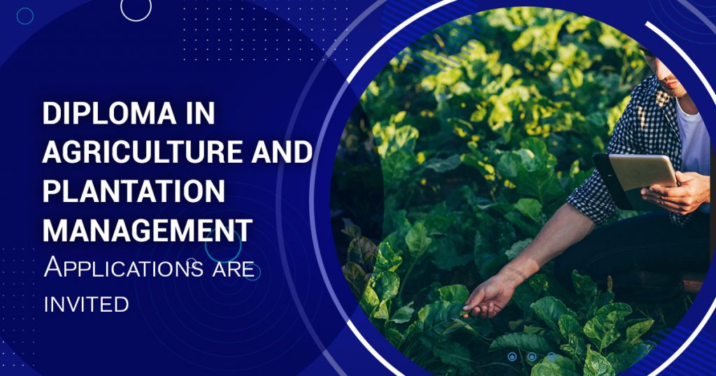 Applications Now Open: Diploma in Agriculture and Plantation Management