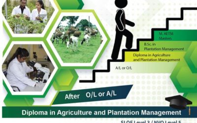 Apply Now for DAPM Your Pathway to Get a UGC Recognised Agriculture Degree from WUSL