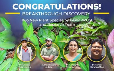 Congratulations! Breakthrough Discovery of Two New Plant Species by FAPM-WUSL and Research Team