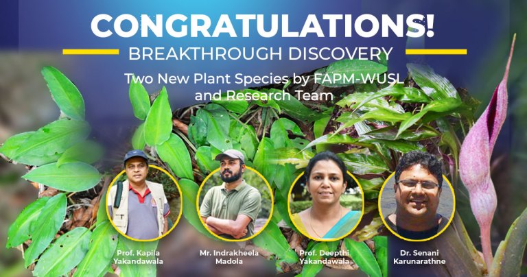 Congratulations! Breakthrough Discovery of Two New Plant Species by FAPM-WUSL and Research Team