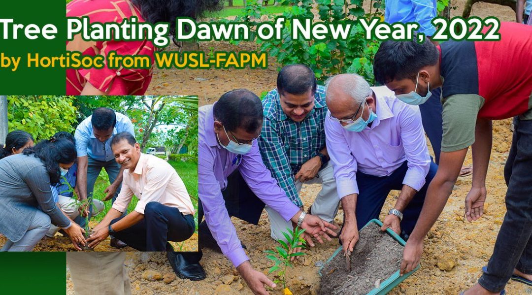 Tree Planting Dawn of New Year, 2022 by HortiSoc from WUSL-FAPM