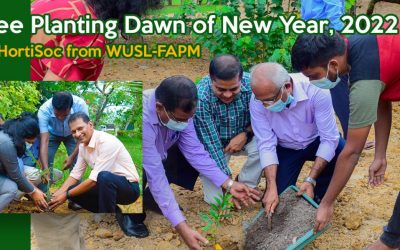 Tree Planting Dawn of New Year, 2022 by HortiSoc from WUSL-FAPM